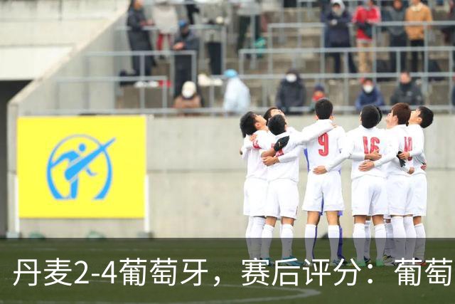 丹麦2-4葡萄牙，赛后评分：葡萄牙8号排第一