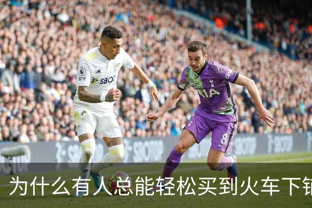 为什么有人总能轻松买到火车下铺？秘密就在12306这个隐藏功能