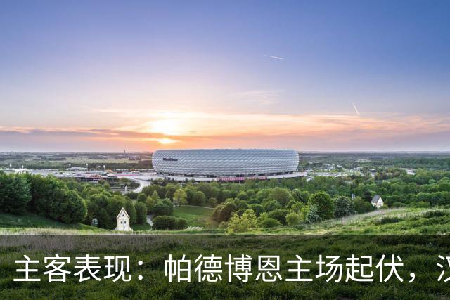 主客表现：帕德博恩主场起伏，汉堡客场胜负分明