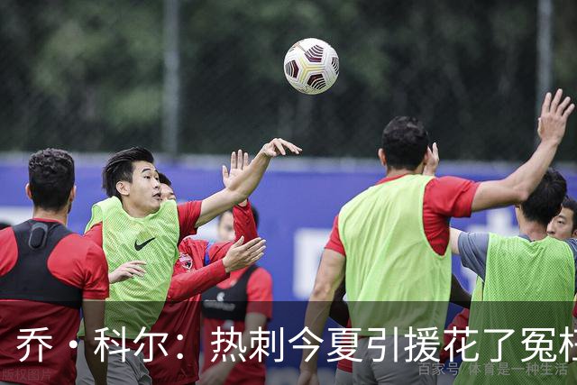 乔·科尔：热刺今夏引援花了冤枉钱，范赫克进了球但防守不合格