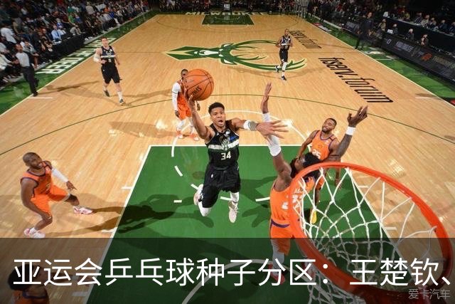 亚运会乒乓球种子分区：王楚钦、张本智和位列上半区