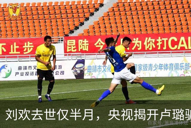 刘欢去世仅半月，央视揭开卢璐骗局内幕