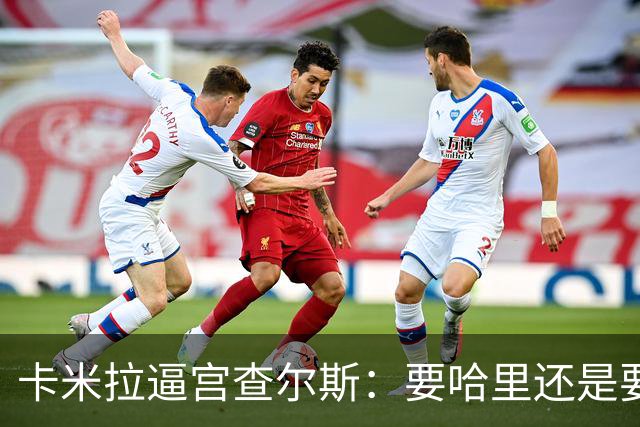 卡米拉"逼宫"查尔斯：要哈里还是要我
