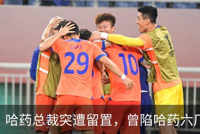 哈药总裁突遭留置，曾陷哈药六厂豪华装修风波