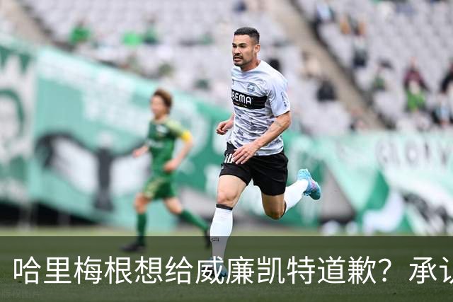 哈里梅根想给威廉凯特道歉？承认不该说王室种族歧视蛐蛐儿子肤色？