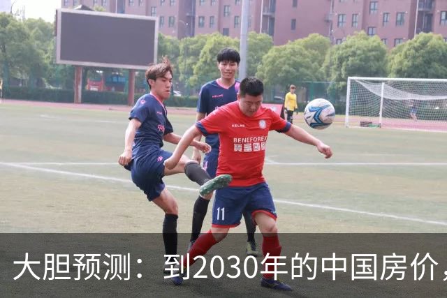 大胆预测：到2030年的中国房价，很大可能是这样的，大家要有准备