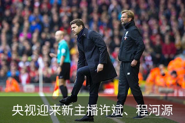 央视迎来新主播许斌、程河源