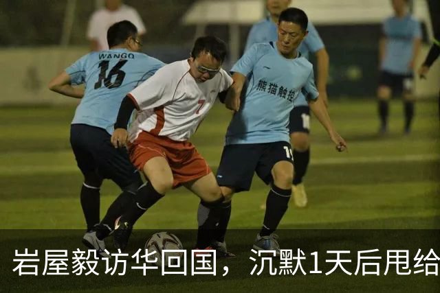 岩屋毅访华回国，沉默1天后甩给高市一句话：日本不必装大国
