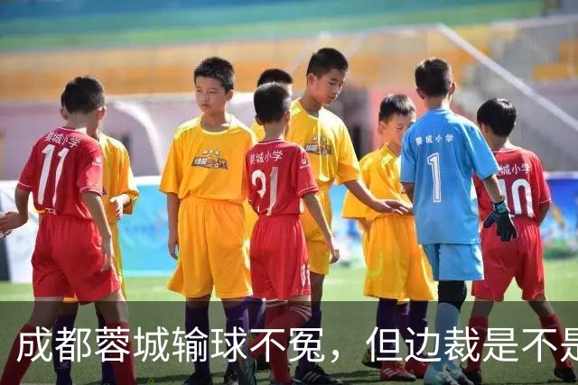 成都蓉城输球不冤，但边裁是不是和主队有仇？刚上岗的吗，规则都搞不懂？