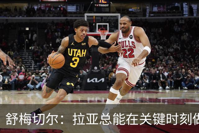 舒梅切尔：拉亚总能在关键时刻做出扑救，他出击摘高空球也进步了