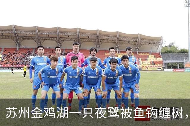 苏州金鸡湖一只夜鹭被鱼钩缠树，市民爬树救下，“有6个鱼钩，脚和翅膀全被钩住”，公园称此处并非垂钓点