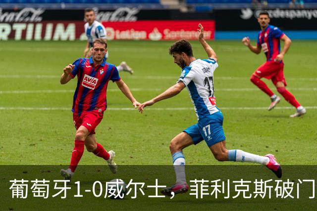 葡萄牙1-0威尔士，菲利克斯破门，C罗进球被吹