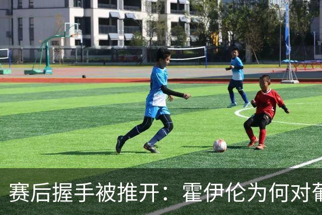 赛后握手被推开：霍伊伦为何对葡萄牙主帅动手