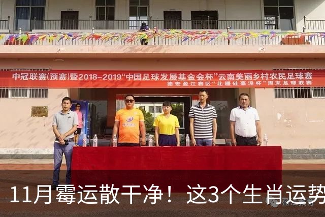 11月霉运散干净！这3个生肖运势提升一大截，机会挨个上门