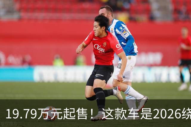 19.79万元起售！这款车是2026绕不过去的家庭智电SUV