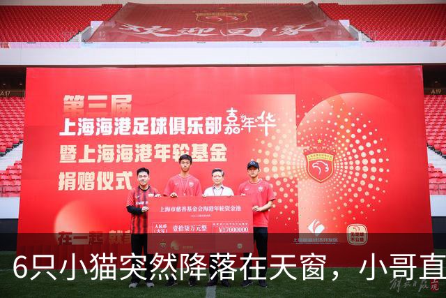 6只小猫突然降落在天窗，小哥直接连锅端！网友：6个刘亦菲啊