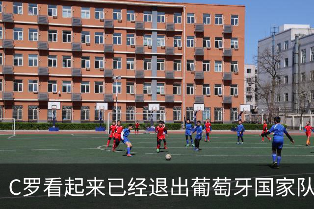 C罗看起来已经退出葡萄牙国家队：146球234场之后